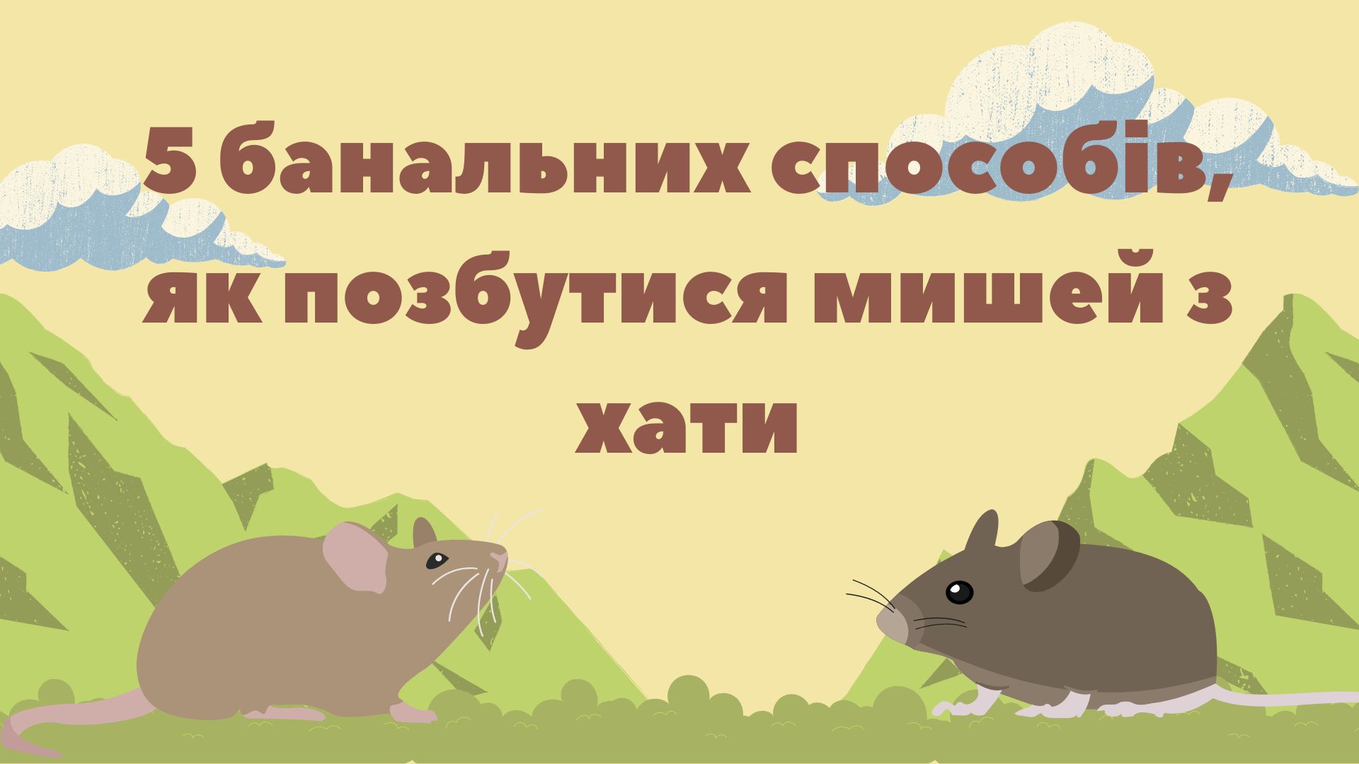 5 банальних способів, як позбутися мишей з хати