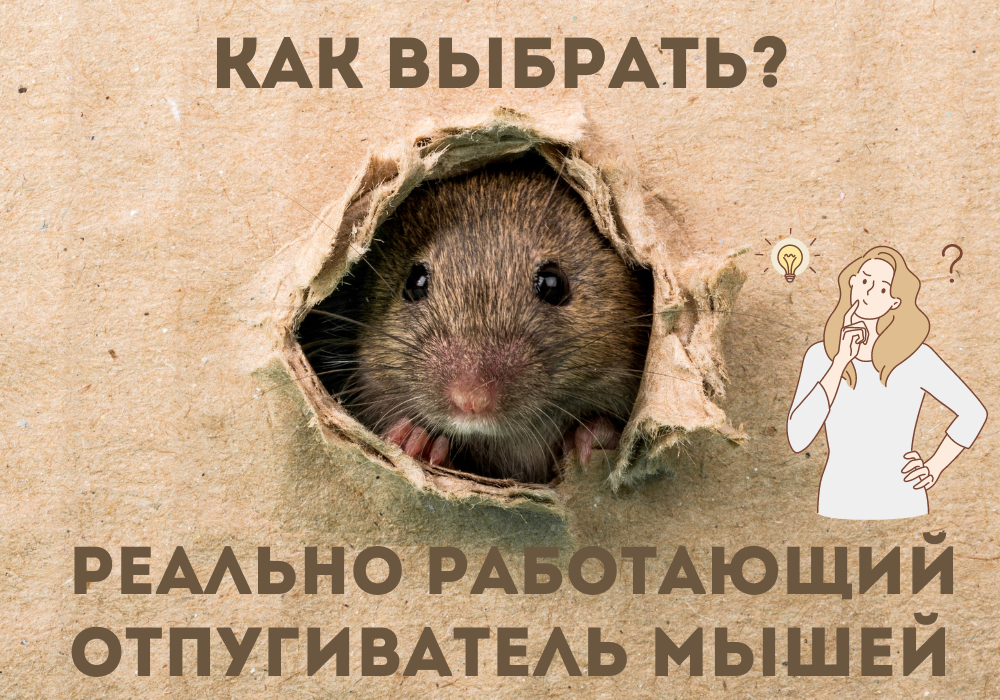 Реально работающий ультразвуковой отпугиватель мышей как выбрать? Реально работающий ультразвуковой отпугиватель мышей как выбрать?