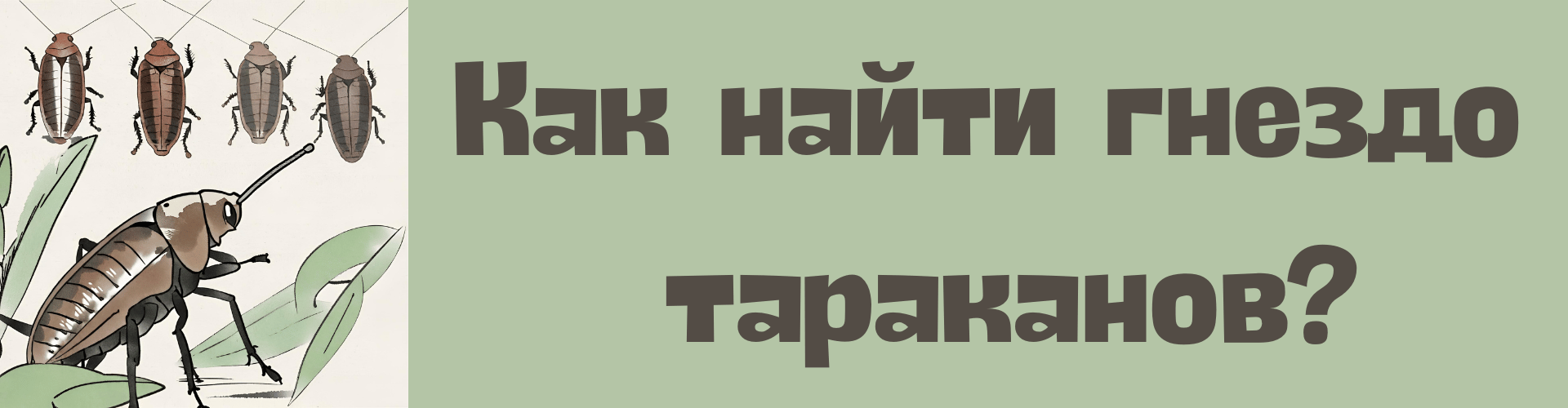 Как найти гнездо тараканов? Как найти гнездо тараканов?