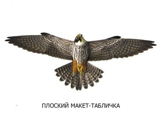 Визуальный отпугиватель птиц ХИЩНИК 2